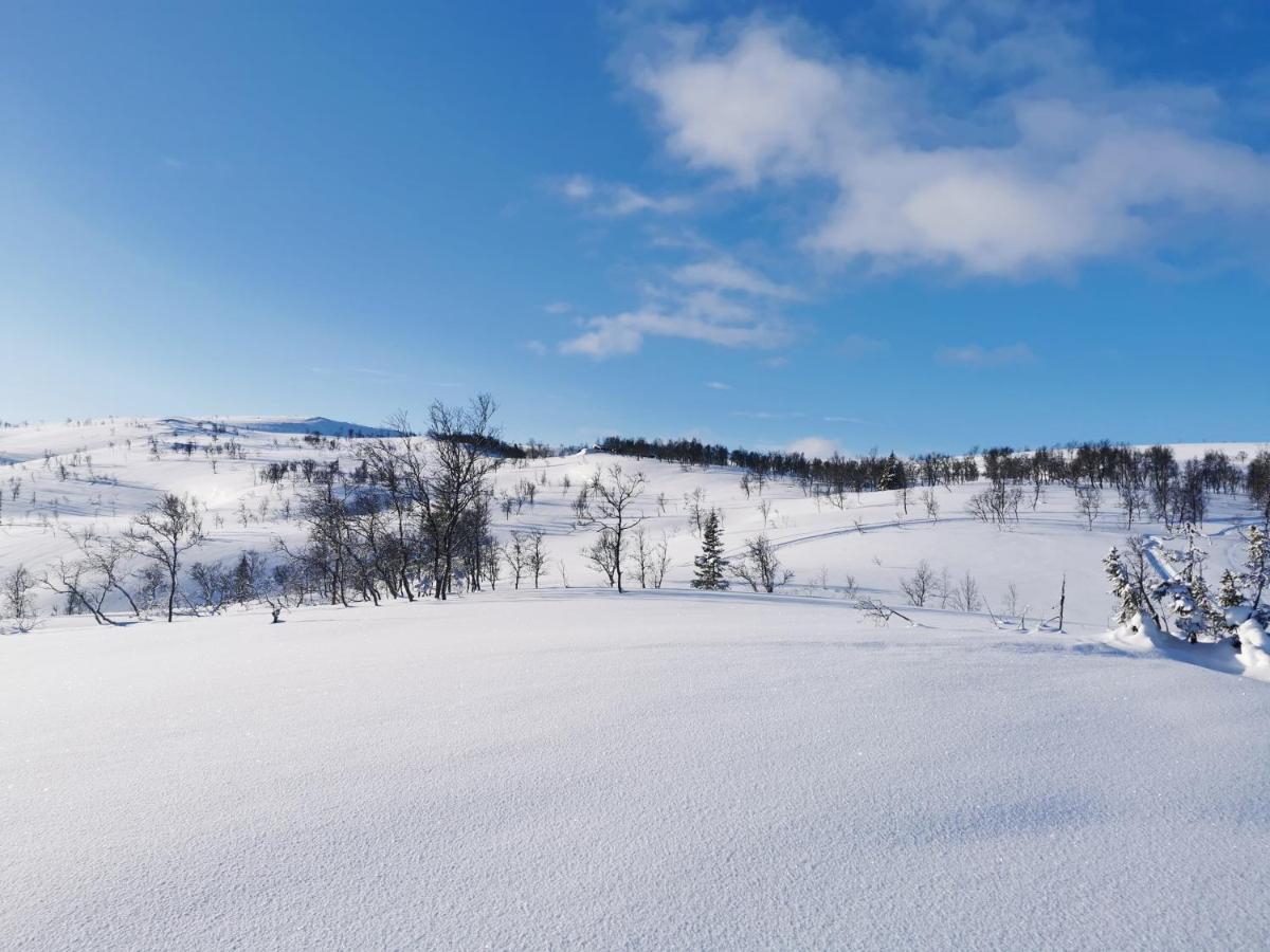 Korgfjellet Fjellstue As Vila Korgen Exterior foto