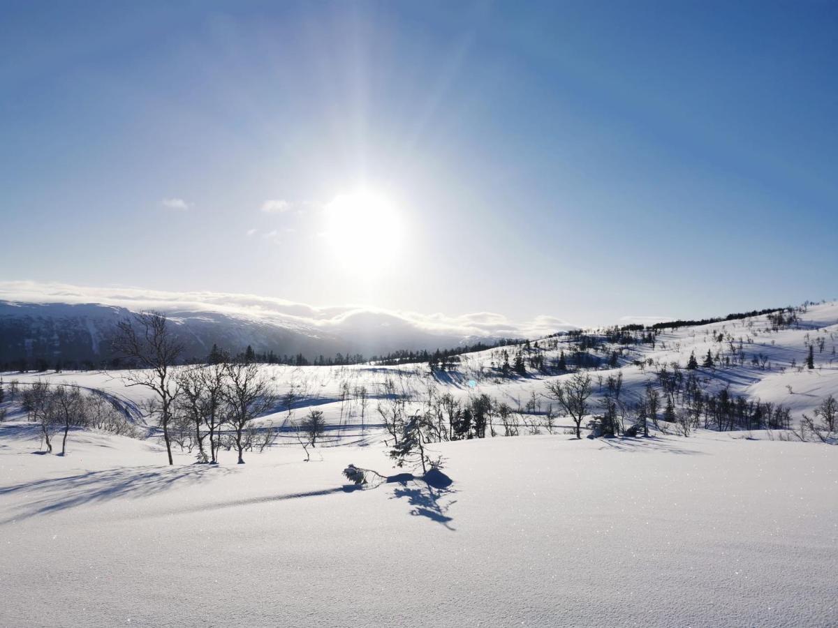 Korgfjellet Fjellstue As Vila Korgen Exterior foto