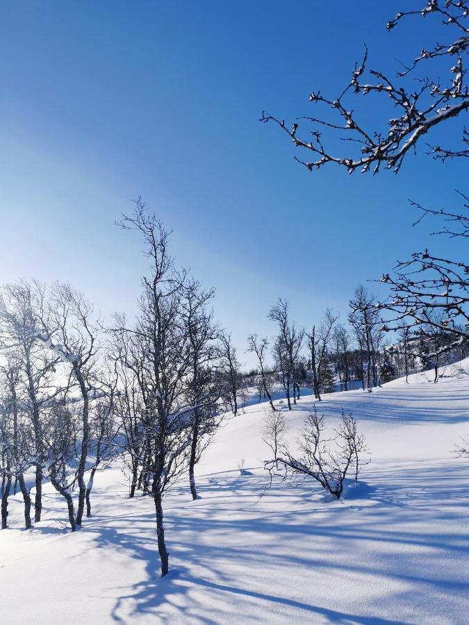 Korgfjellet Fjellstue As Vila Korgen Exterior foto