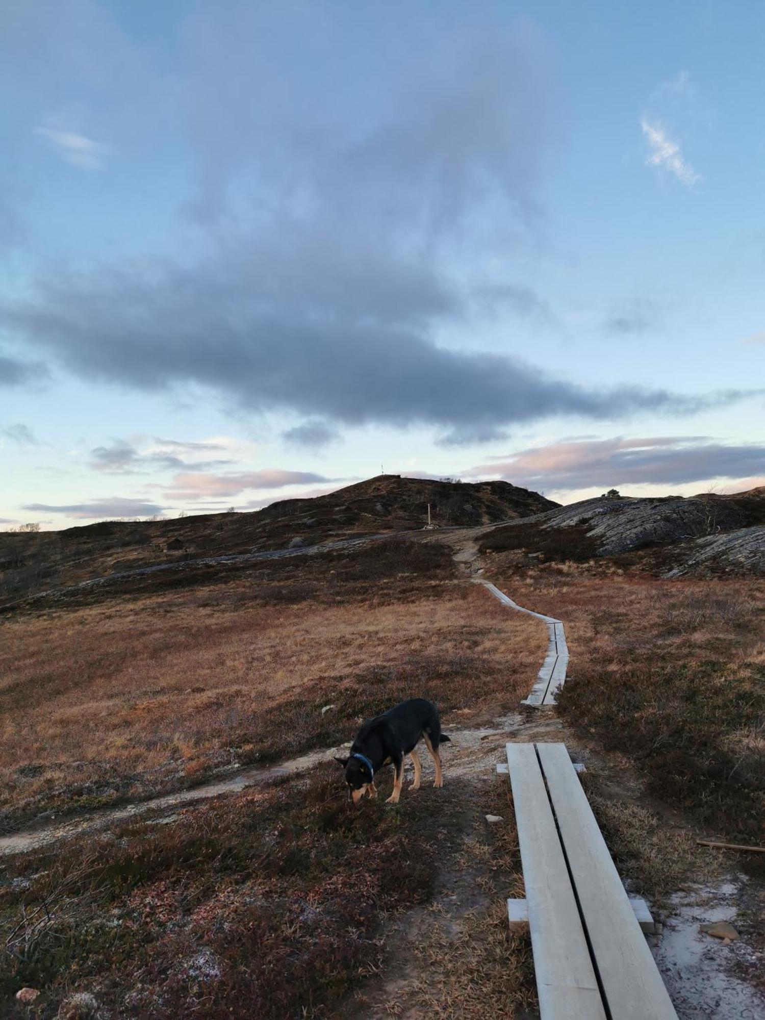 Korgfjellet Fjellstue As Vila Korgen Exterior foto
