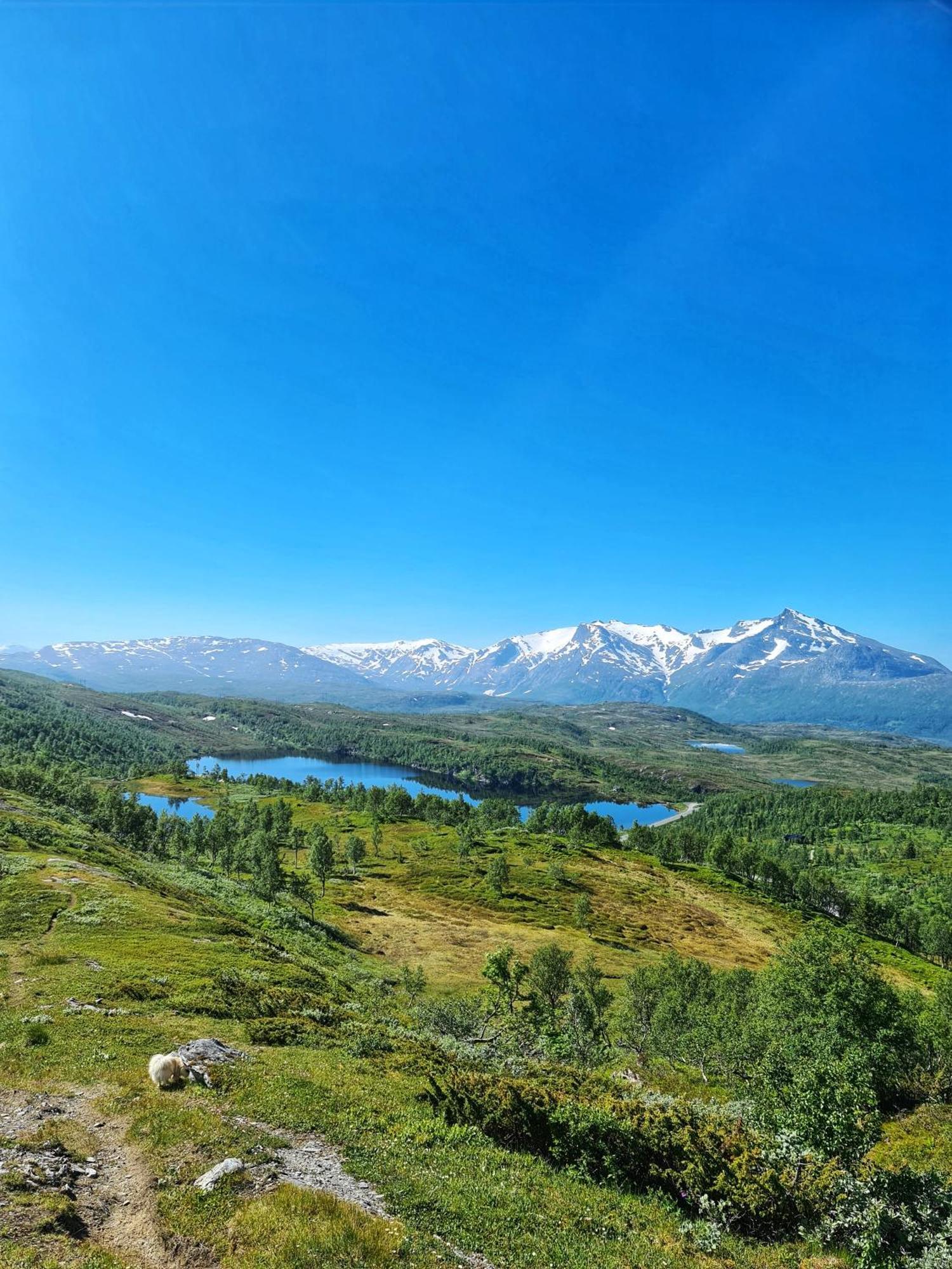 Korgfjellet Fjellstue As Vila Korgen Exterior foto